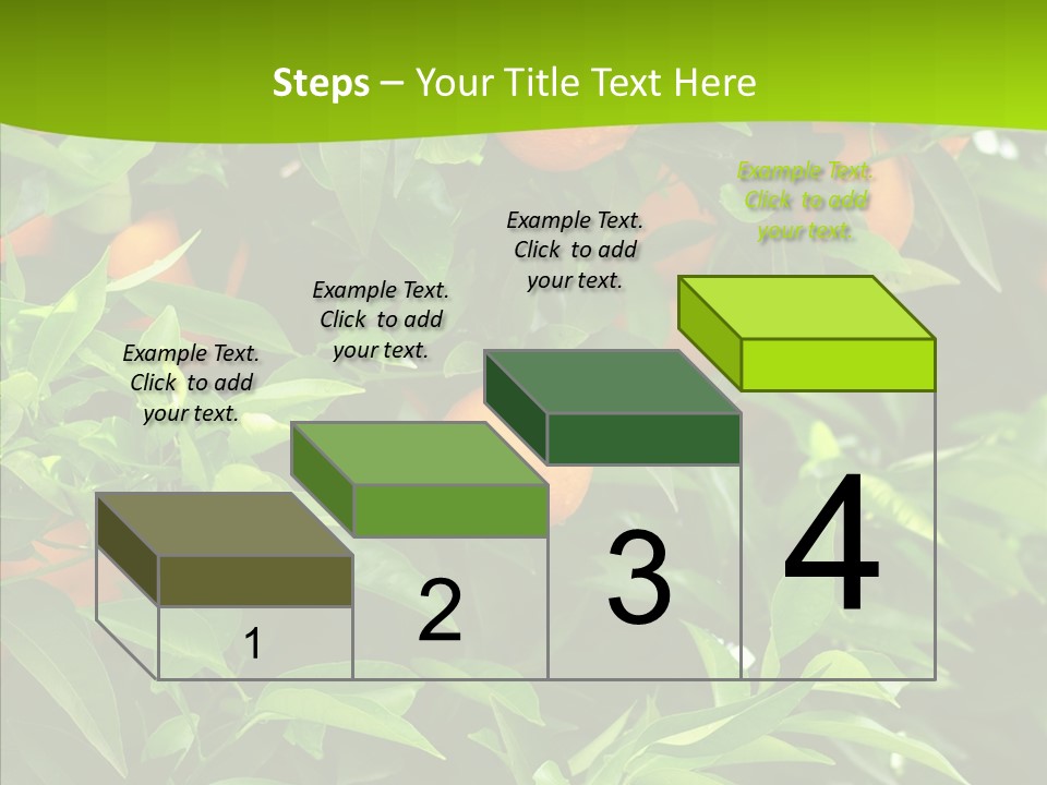Citrus Growers Farm PowerPoint Template