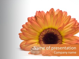 Simplicity Flower Bud PowerPoint Template