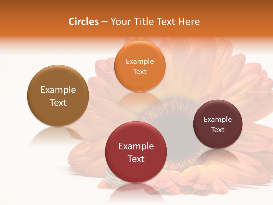 Simplicity Flower Bud PowerPoint Template
