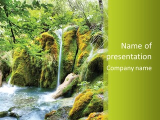 Tree Flow Rushing PowerPoint Template