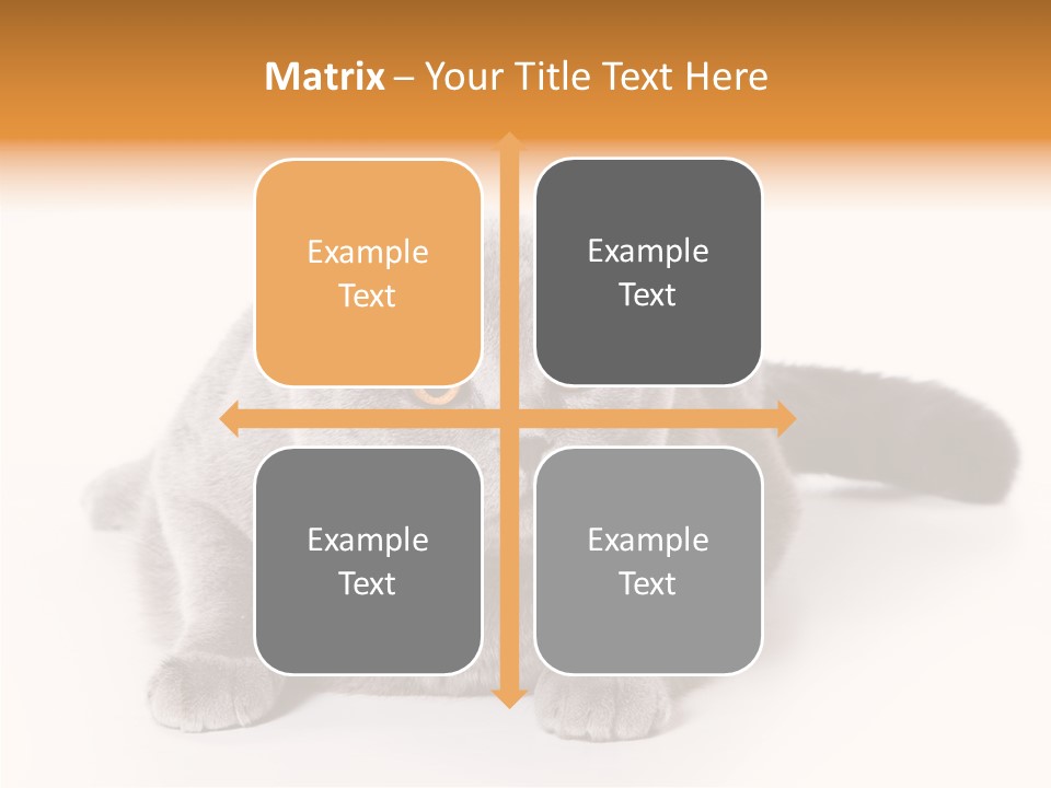 Companion Playful Carnivore PowerPoint Template