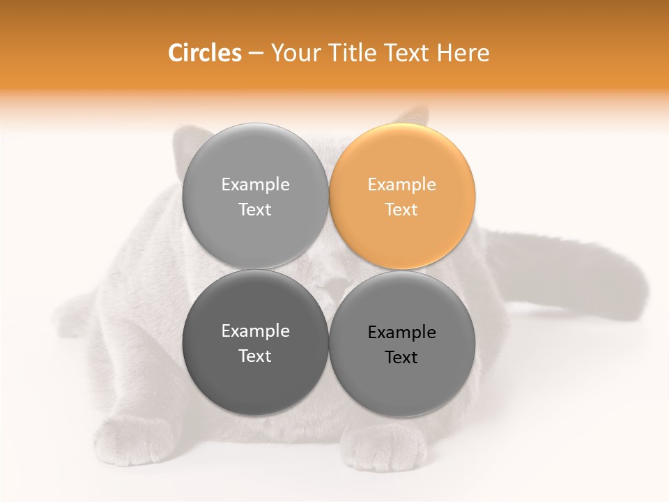 Companion Playful Carnivore PowerPoint Template