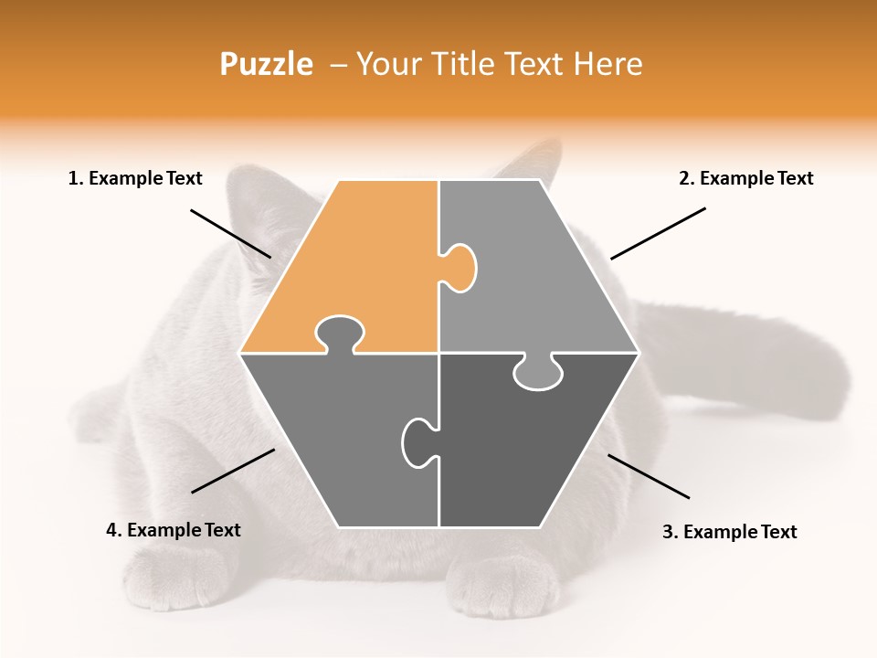 Companion Playful Carnivore PowerPoint Template