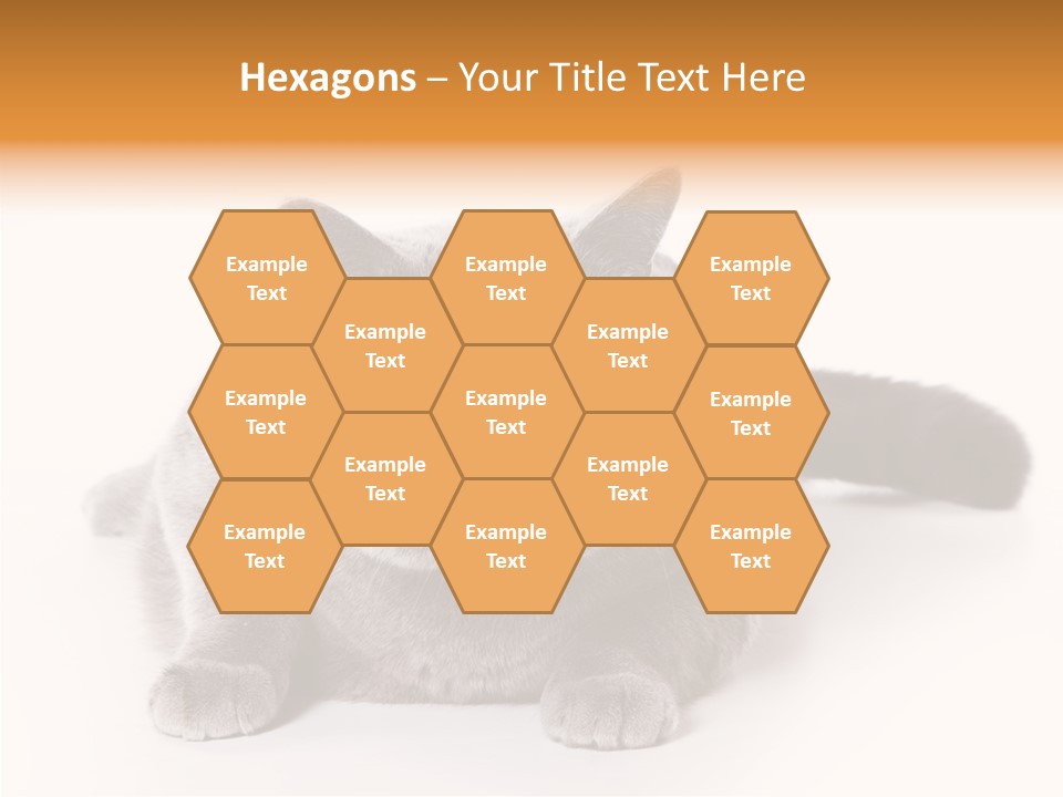 Companion Playful Carnivore PowerPoint Template