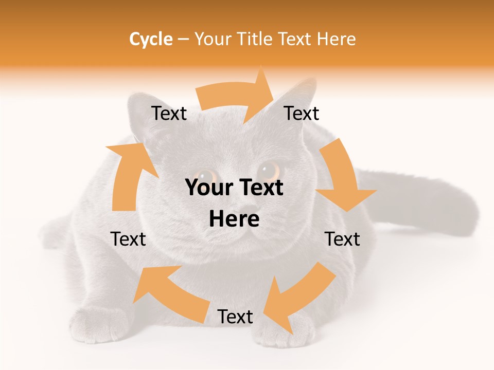 Companion Playful Carnivore PowerPoint Template