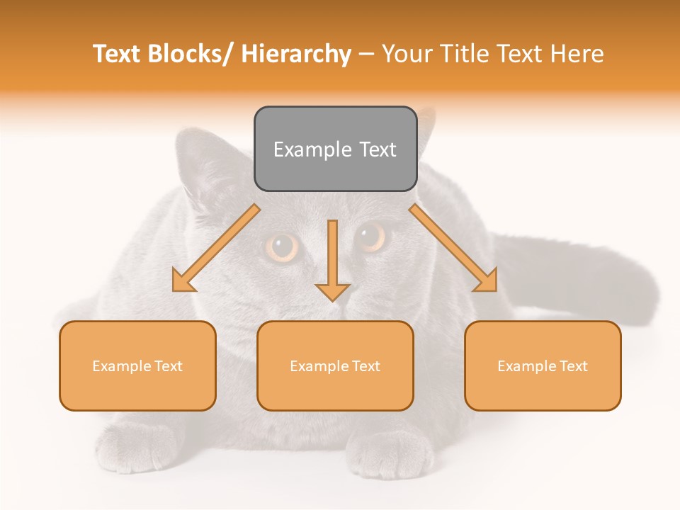 Companion Playful Carnivore PowerPoint Template