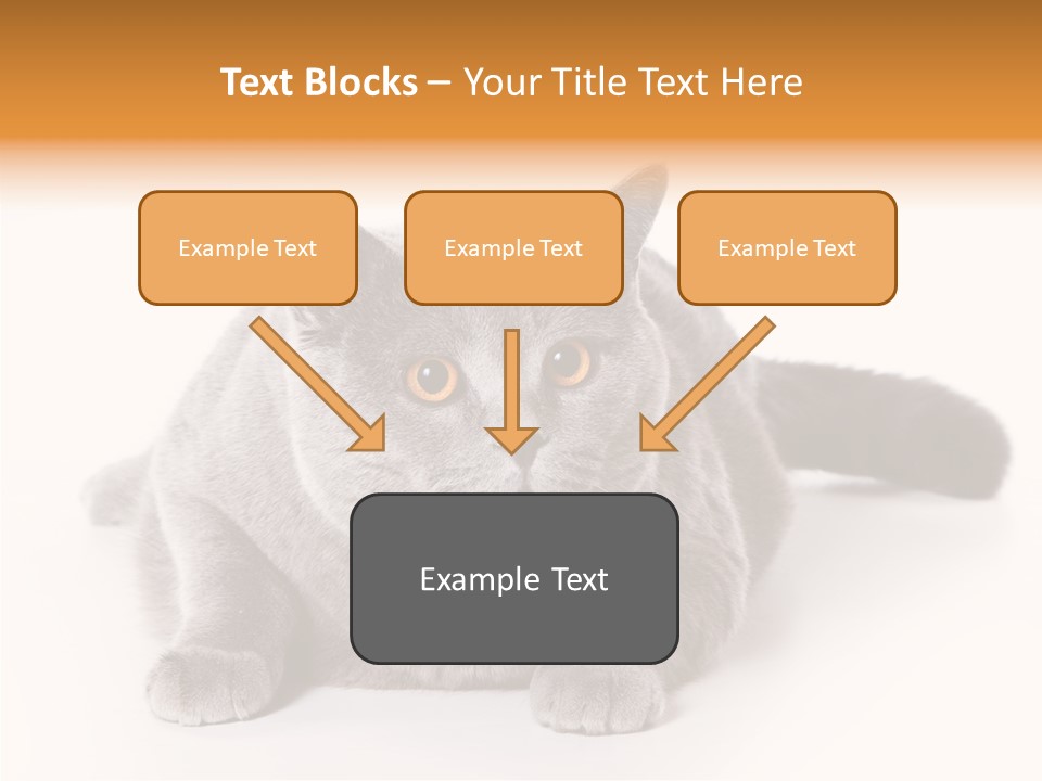 Companion Playful Carnivore PowerPoint Template