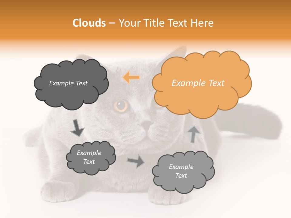 Companion Playful Carnivore PowerPoint Template