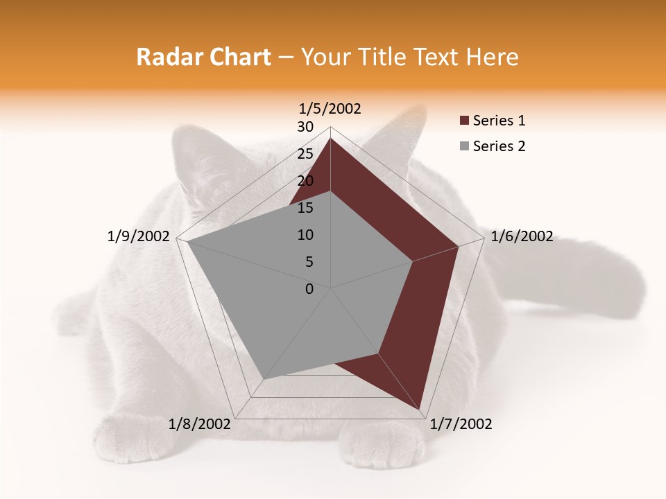 Companion Playful Carnivore PowerPoint Template