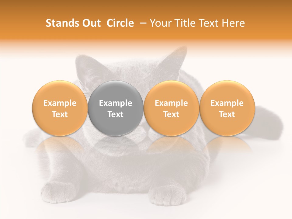 Companion Playful Carnivore PowerPoint Template
