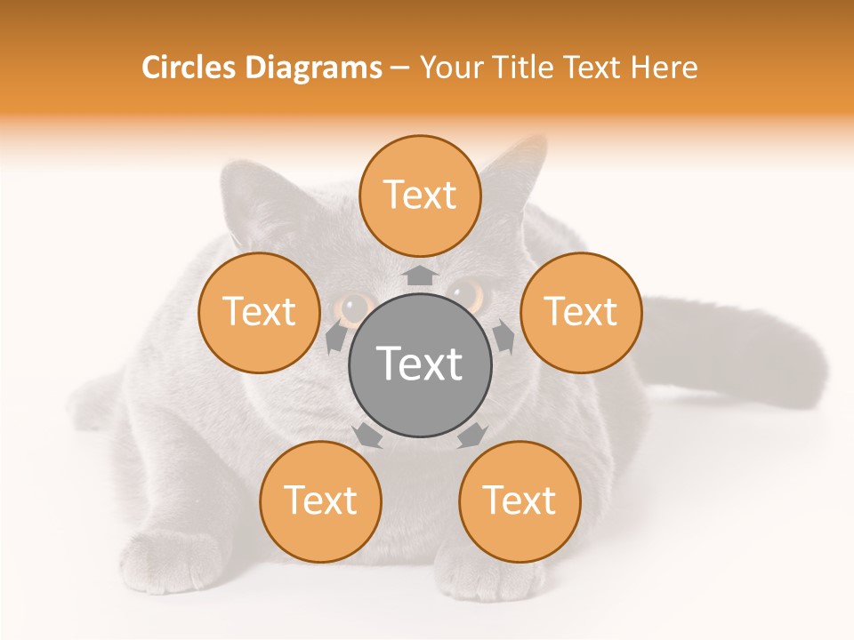 Companion Playful Carnivore PowerPoint Template