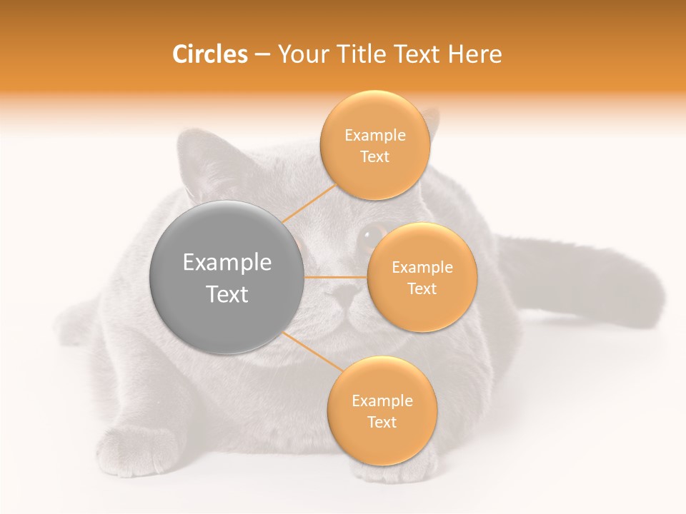 Companion Playful Carnivore PowerPoint Template