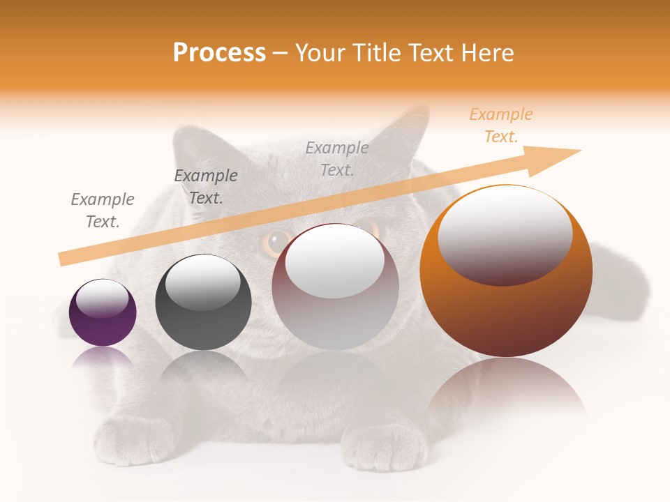 Companion Playful Carnivore PowerPoint Template