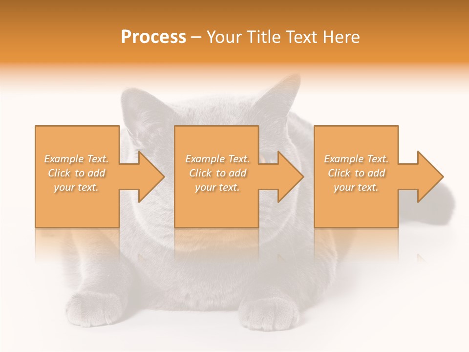 Companion Playful Carnivore PowerPoint Template