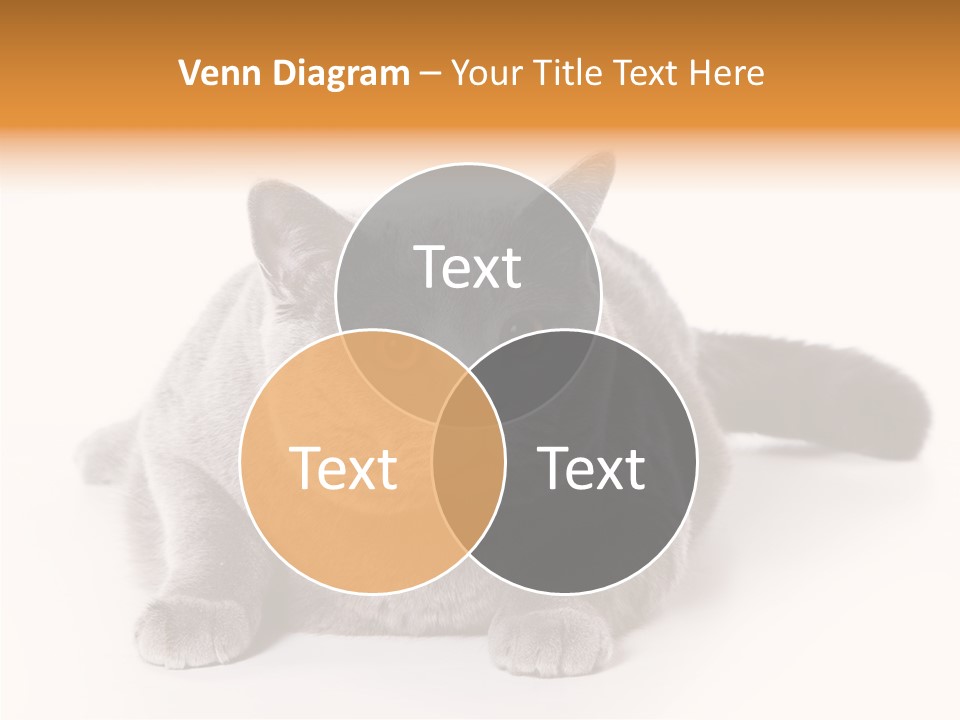 Companion Playful Carnivore PowerPoint Template