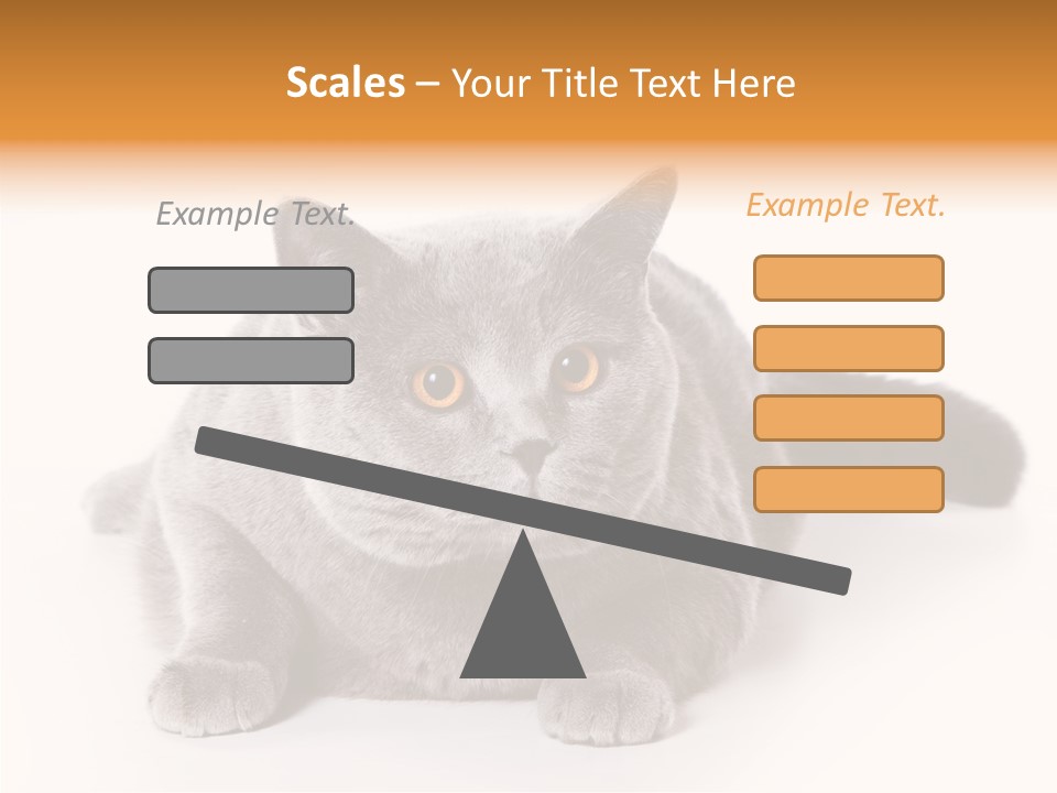 Companion Playful Carnivore PowerPoint Template