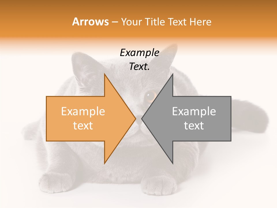 Companion Playful Carnivore PowerPoint Template