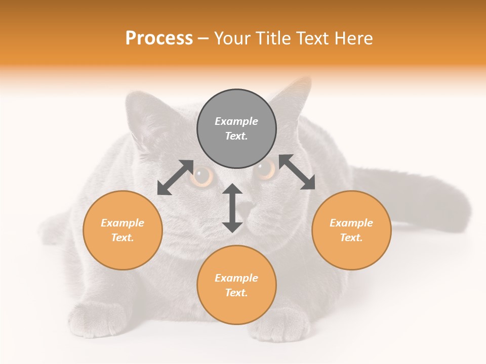 Companion Playful Carnivore PowerPoint Template
