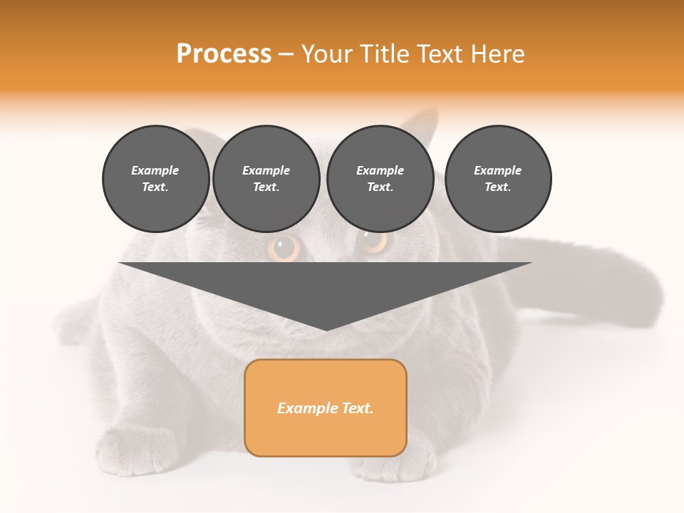 Companion Playful Carnivore PowerPoint Template