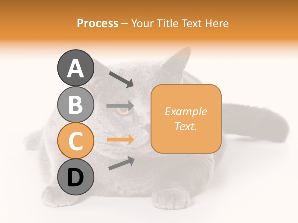 Companion Playful Carnivore PowerPoint Template