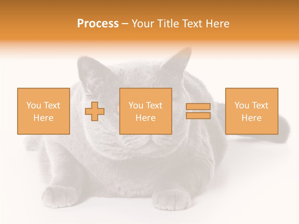 Companion Playful Carnivore PowerPoint Template