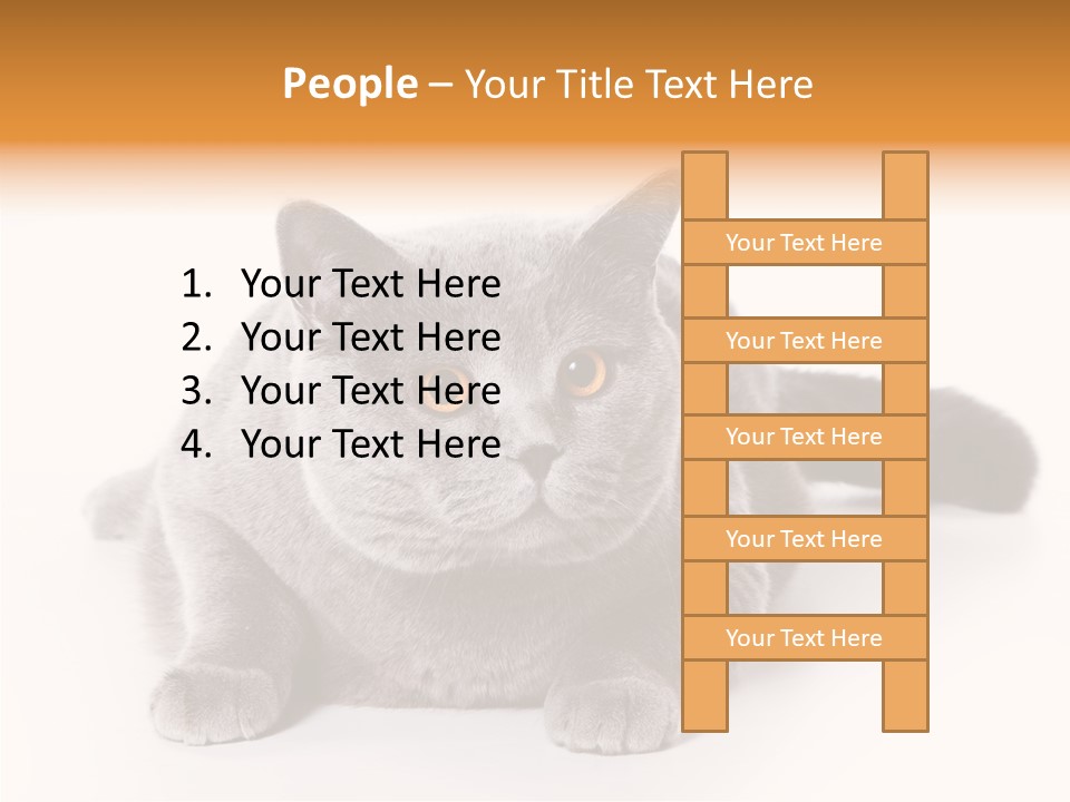 Companion Playful Carnivore PowerPoint Template