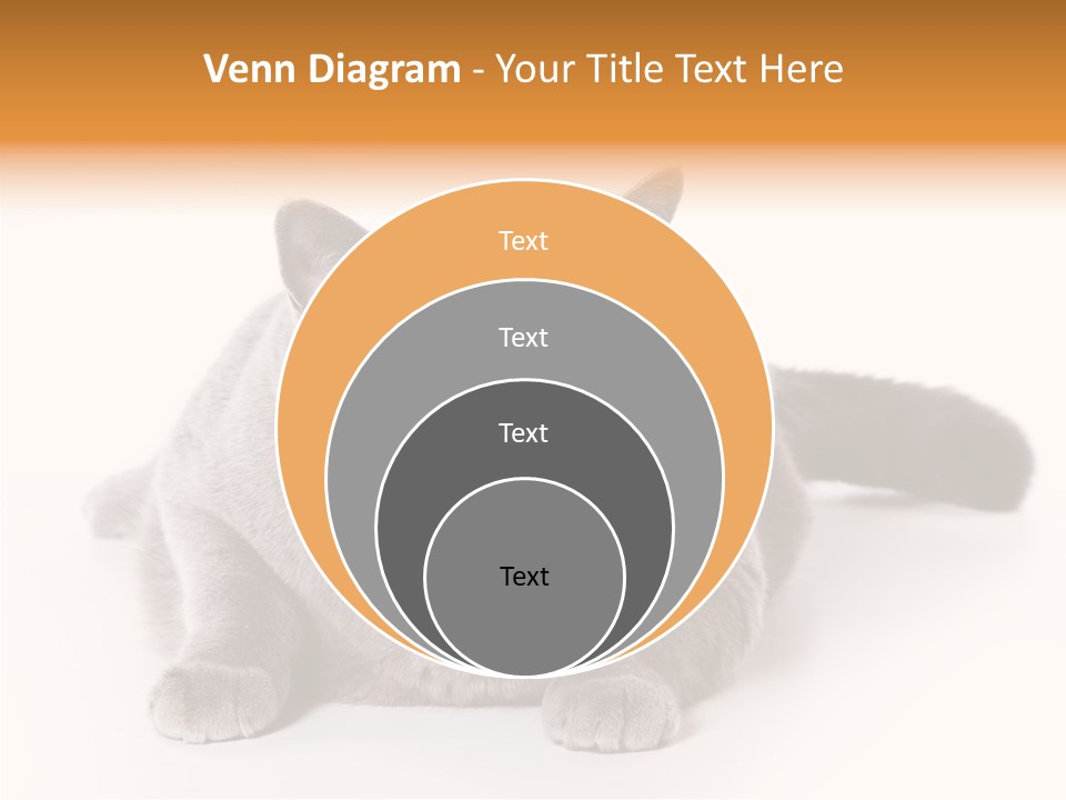 Companion Playful Carnivore PowerPoint Template