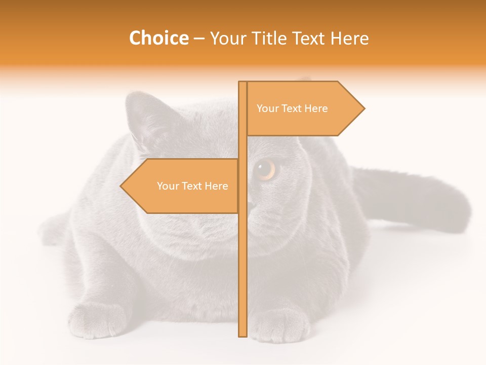 Companion Playful Carnivore PowerPoint Template