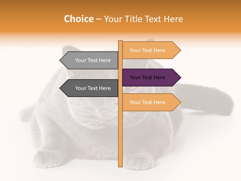 Companion Playful Carnivore PowerPoint Template