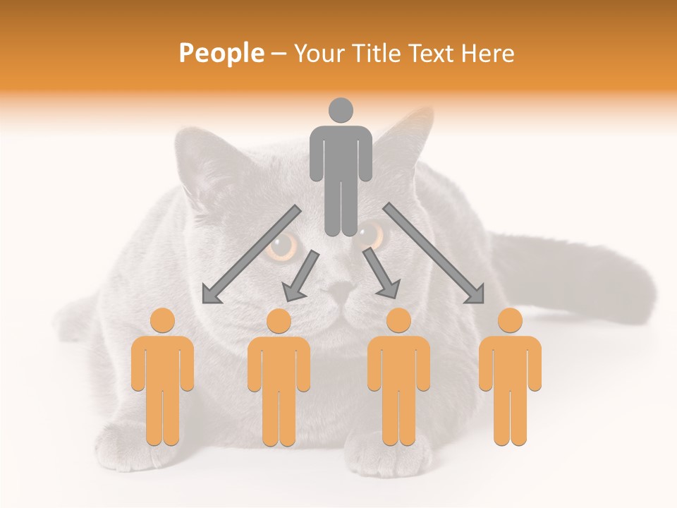 Companion Playful Carnivore PowerPoint Template