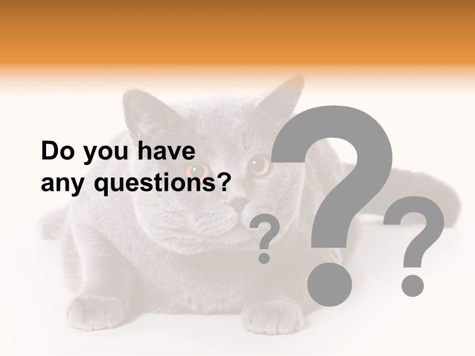 Companion Playful Carnivore PowerPoint Template