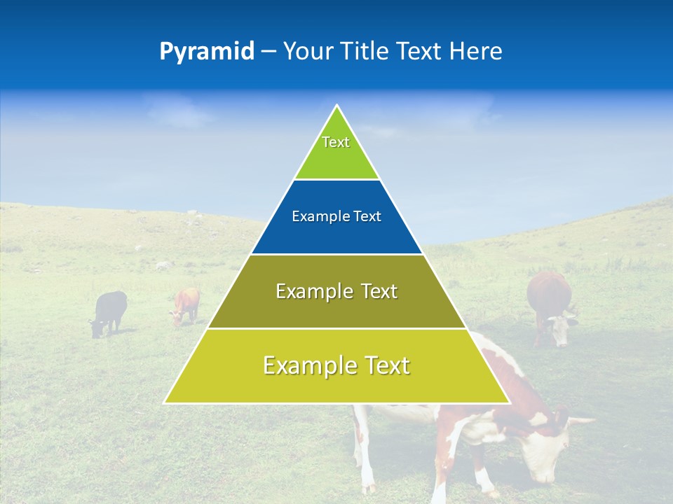 View Scenery Grassland PowerPoint Template