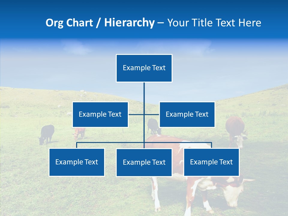View Scenery Grassland PowerPoint Template
