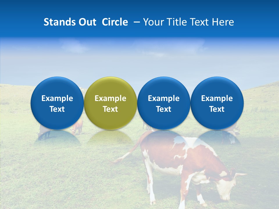 View Scenery Grassland PowerPoint Template