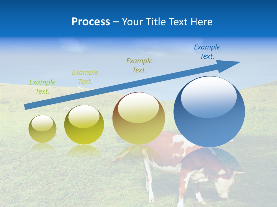 View Scenery Grassland PowerPoint Template