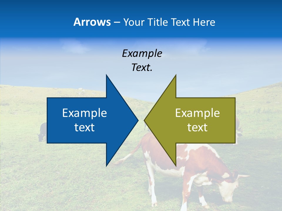 View Scenery Grassland PowerPoint Template