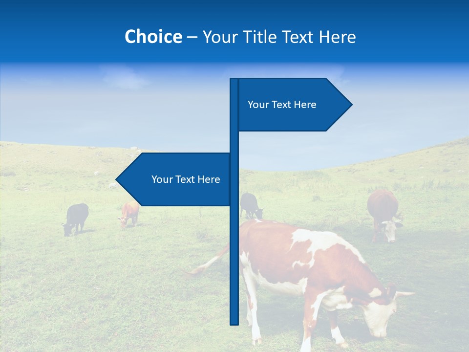 View Scenery Grassland PowerPoint Template