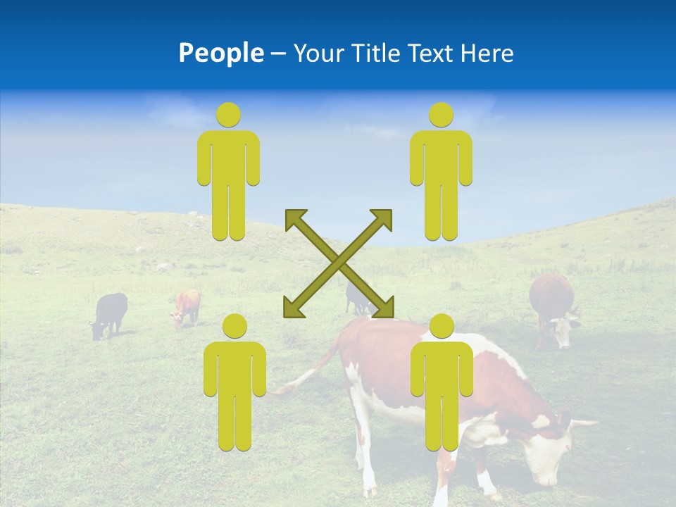 View Scenery Grassland PowerPoint Template