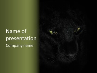Stare Face Concept PowerPoint Template