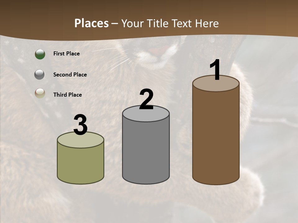 Grip Hang On Feline PowerPoint Template