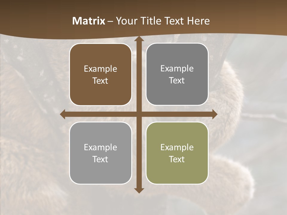 Grip Hang On Feline PowerPoint Template