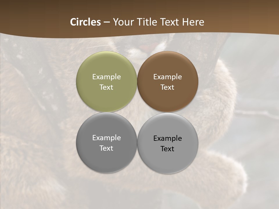 Grip Hang On Feline PowerPoint Template