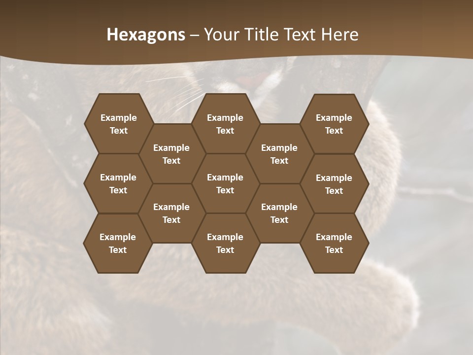 Grip Hang On Feline PowerPoint Template