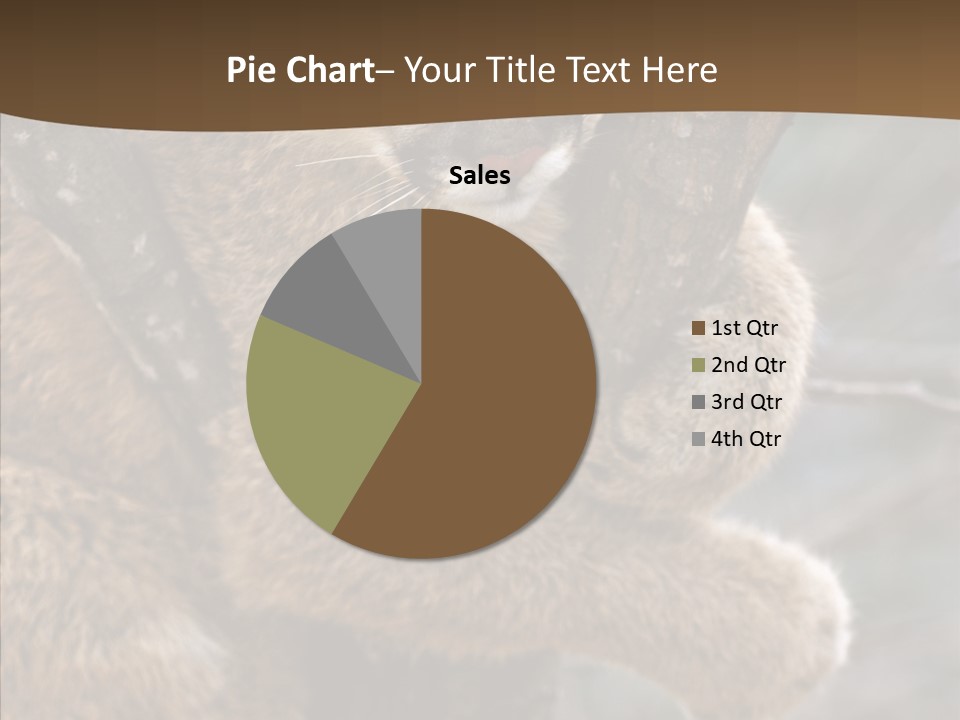 Grip Hang On Feline PowerPoint Template