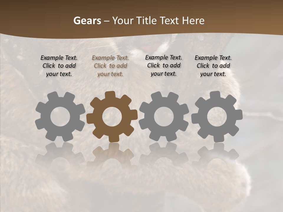 Grip Hang On Feline PowerPoint Template