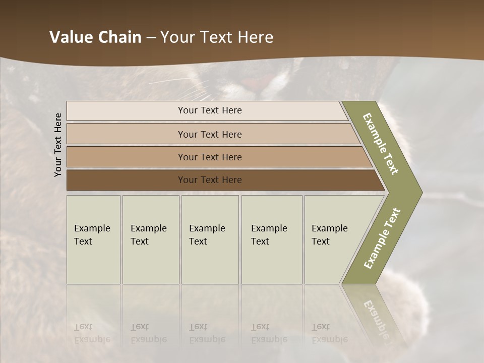 Grip Hang On Feline PowerPoint Template