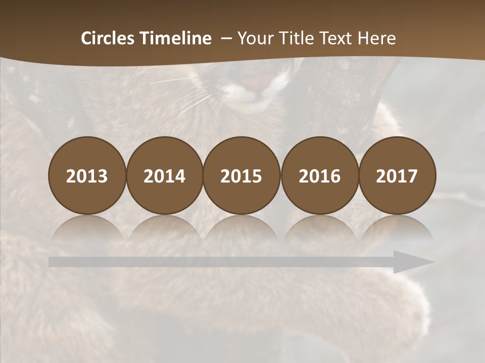 Grip Hang On Feline PowerPoint Template