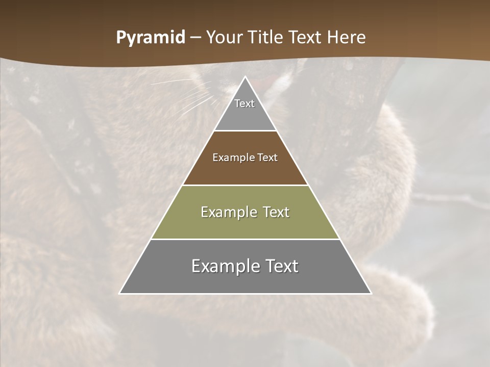 Grip Hang On Feline PowerPoint Template