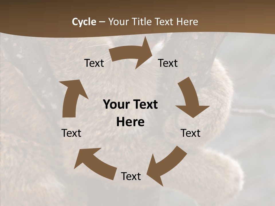 Grip Hang On Feline PowerPoint Template