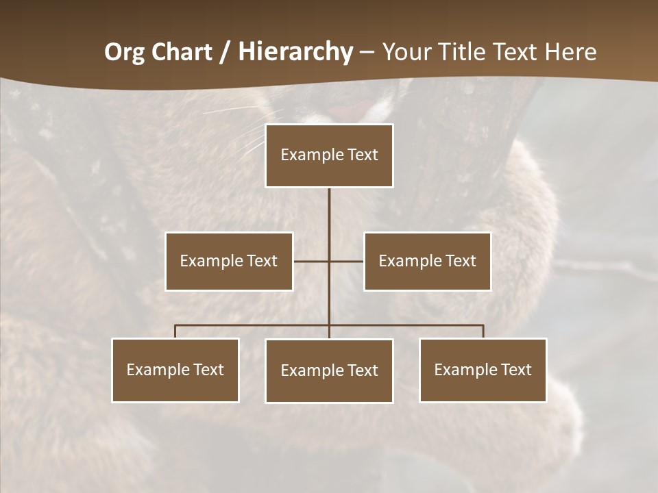 Grip Hang On Feline PowerPoint Template